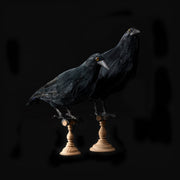 Crow- Large