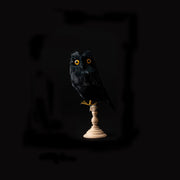 Owl Black