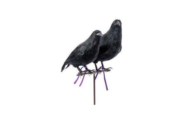 Crow- Large