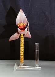 Single Flower Vase
